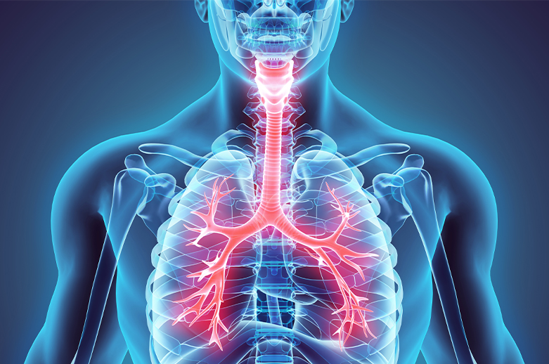 BSc Respiratory Therapy (Bachelor of Science in Respiratory Therapy)