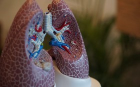 Bachelor Of Science In Respiratory Therapy